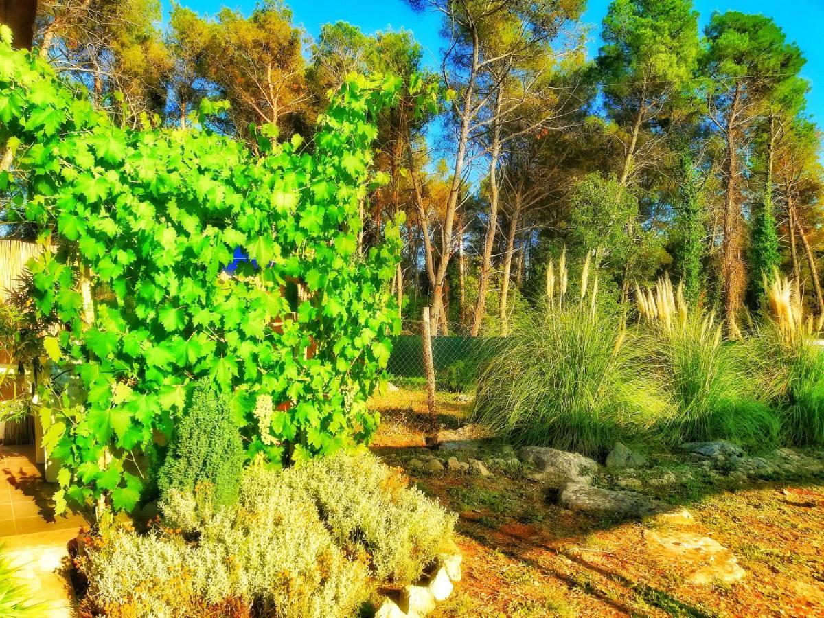 Pampas Studio, Self Check-in * Poreč